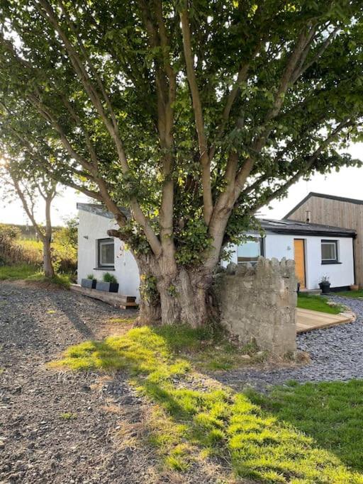 Tranquil, Secluded, Rural Cottage For Two Beaumaris Exterior photo